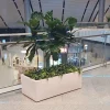 BP6 Planter