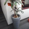 Step Bell Planter MD151