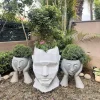 Tarzen Face Planter White Front